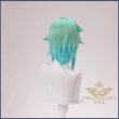 シノン　ウィッグ