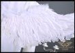 風楽奏斗Angel×Devil衣装